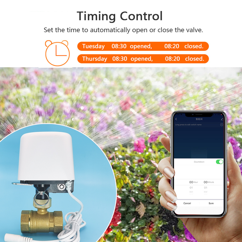 Válvula de Agua Inteligente Tu - Home Assistant Tuya reseña y precio